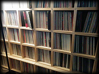 Parts of the Mike Maurro record collection